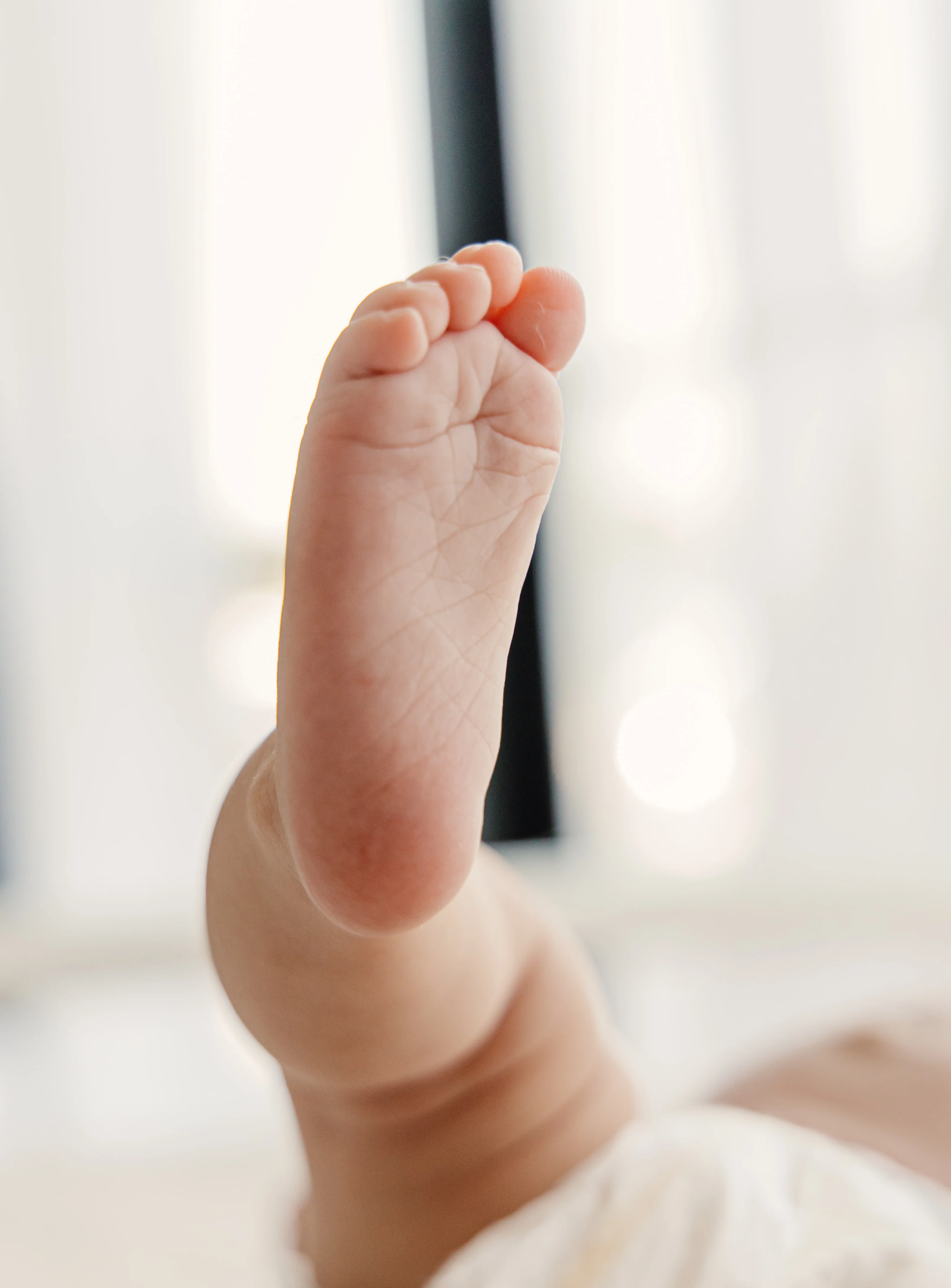 Newborn